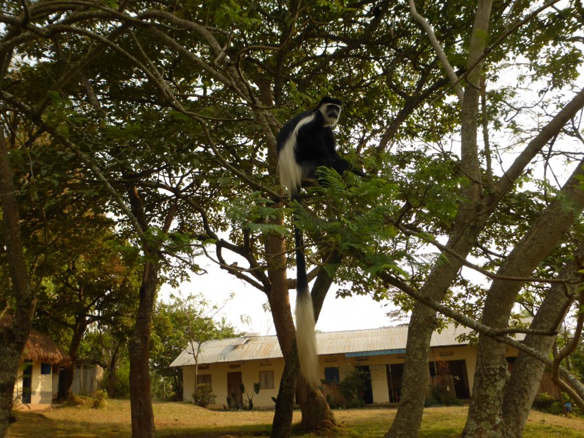 P1200800