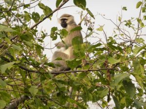 Fort Portal: Death Threats and Crater Lakes