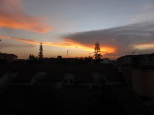 Nairobi Matatu Culture