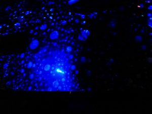 Nairobi Matatu Culture