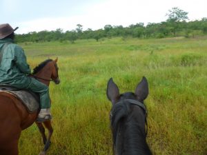 Victoria Falls: Zambezi Horse Trails