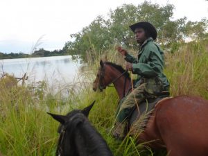 Victoria Falls: Zambezi Horse Trails