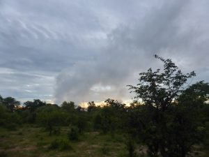 Victoria Falls: Zambezi Horse Trails