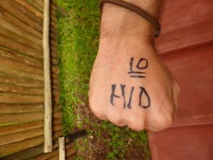 Victoria Falls Gorge Swing: Wild Horizons Adventures