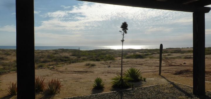 Luck in the Flow of Life in Todos Santos