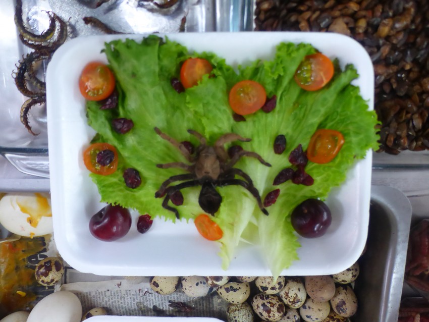 Scorpion Eating in Mexico City