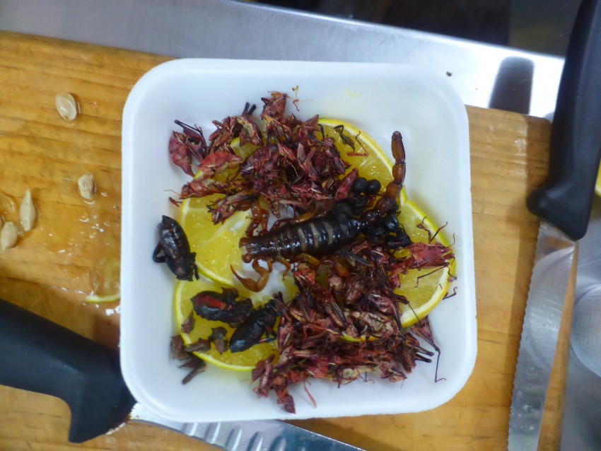 Scorpion Eating in Mexico City