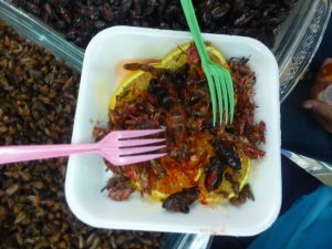 Scorpion Eating in Mexico City