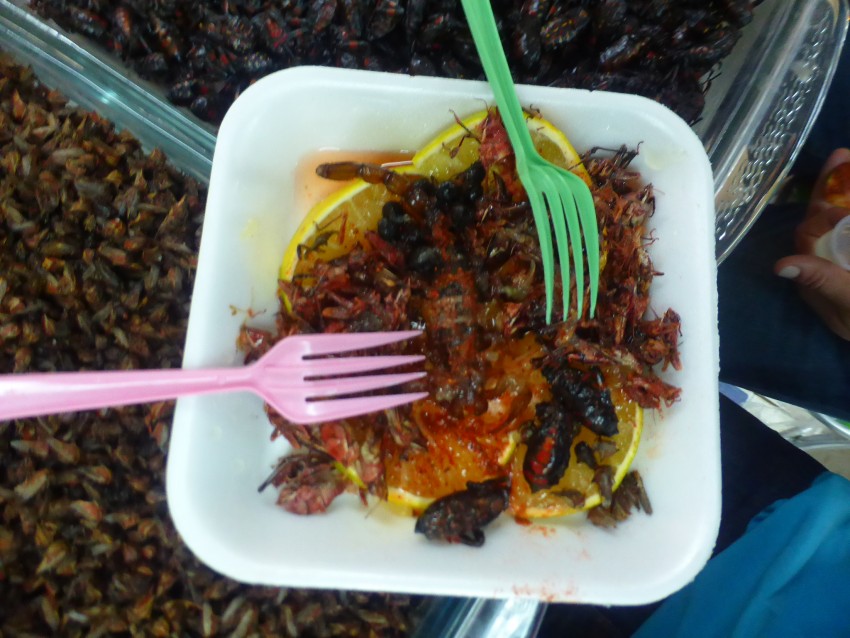 Scorpion Eating in Mexico City