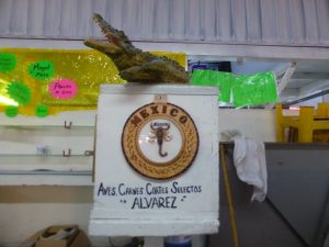 Scorpion Eating in Mexico City