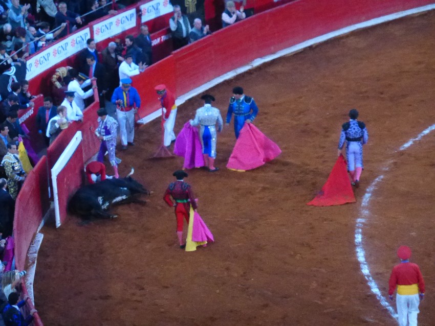 Mexican Bullfight in Mexico City