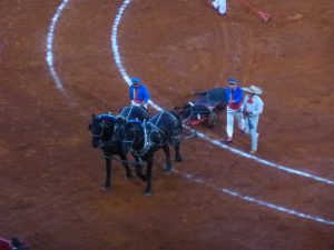 Mexican Bullfight in Mexico City