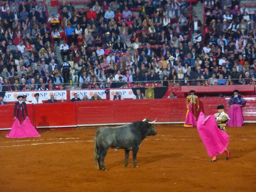 Mexican Bullfight in Mexico City