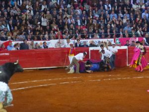 Mexican Bullfight in Mexico City