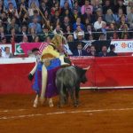 Mexican Bullfight in Mexico City