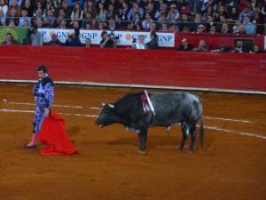 Mexican Bullfight in Mexico City