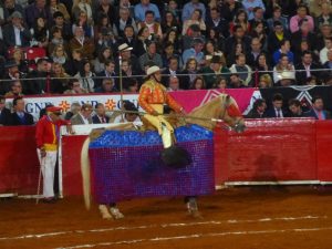 Mexican Bullfight in Mexico City