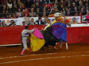 Mexican Bullfight in Mexico City