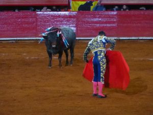 Mexican Bullfight in Mexico City