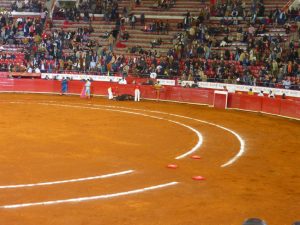 Mexican Bullfight in Mexico City