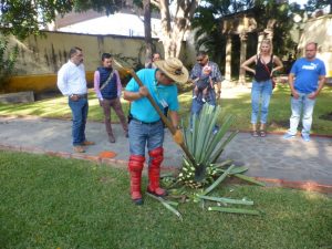 Tequila Distillery Tour in Tequila, Mexico