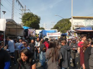 Mercado El Chopo in Mexico City Market