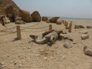 Touring the Pyramids of Egypt