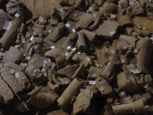 Terracotta Warriors Tour in China