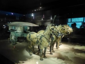 Terracotta Warriors Tour in China