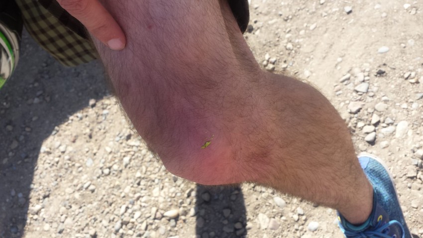 The Crotch Rocket at 216 km/h.