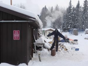 Dog Sledding in Fort Chipewyan, Alberta, Canada.