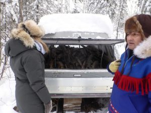 Dog Sledding in Fort Chipewyan, Alberta, Canada.