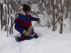 Dog Sledding in Fort Chipewyan, Alberta, Canada.