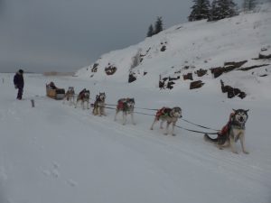 Dog Sledding in Fort Chipewyan, Alberta, Canada.