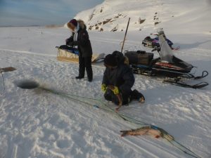 Dog Sledding in Fort Chipewyan, Alberta, Canada.