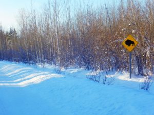 Entering the Northwest Territories: Fort Chipewyan to Fort Smith.