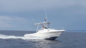 Cod Fishing in Newfoundland: Pollards Point