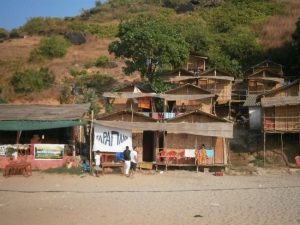 The Indian Rat on My Naked Leg