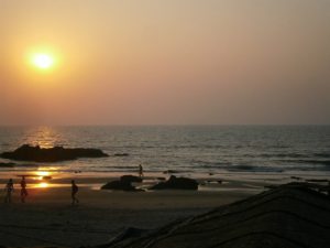 The Indian Rat on My Naked Leg