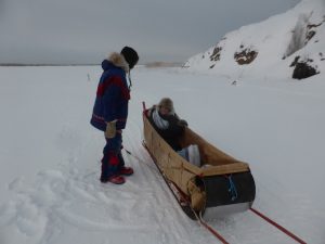 Robert: Buffalo vs Dogs Trap-Line Incident